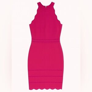 Bebe Halter Dress Bandage Bodycon Midi Zip Back Sexy Date Night Outfit Pink XS